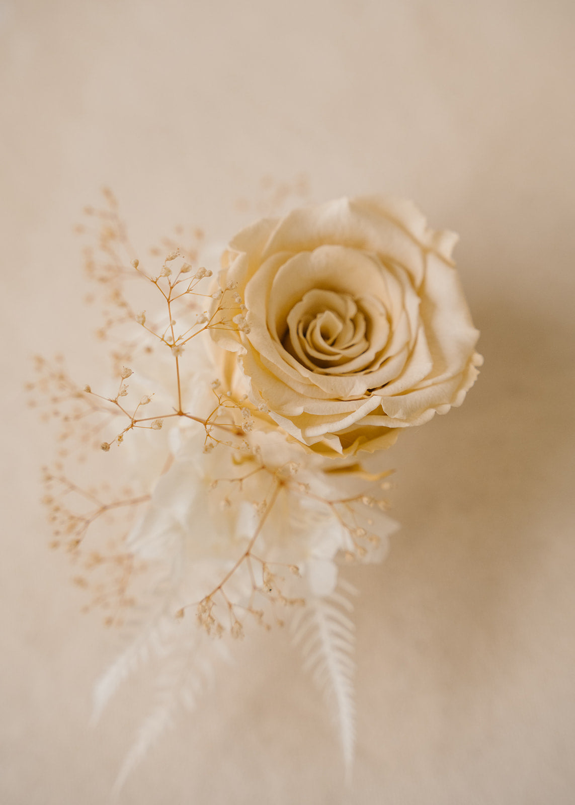 Peach Preserved Rose Cake Topper