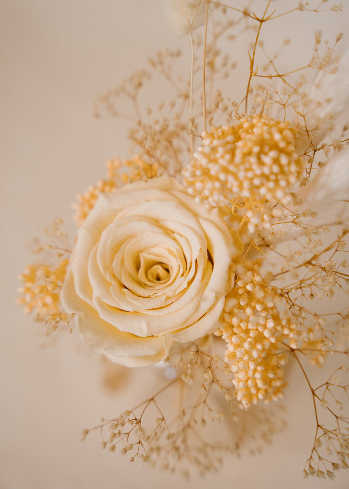 Rose Cloche Arrangement