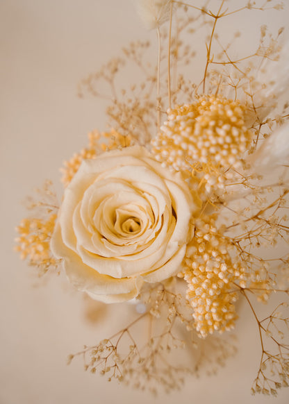 Peach Rose Cloche Arrangement